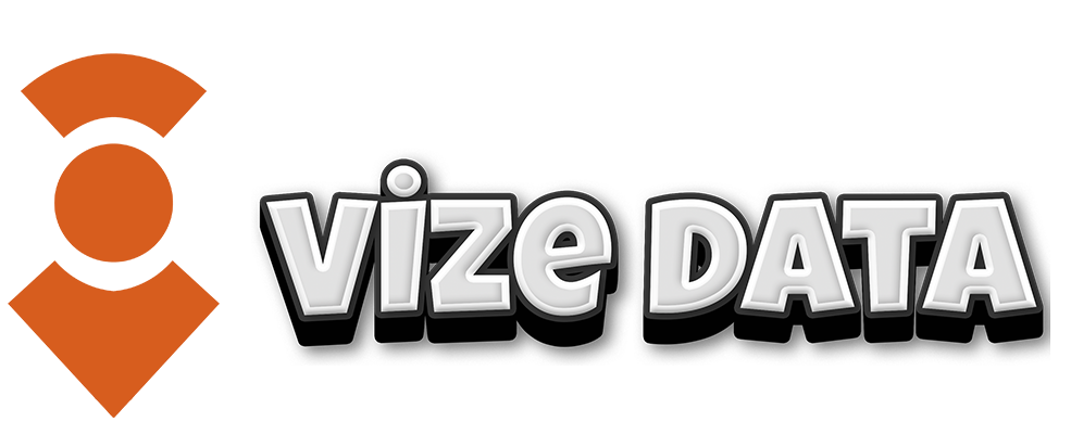 Vize Süreci